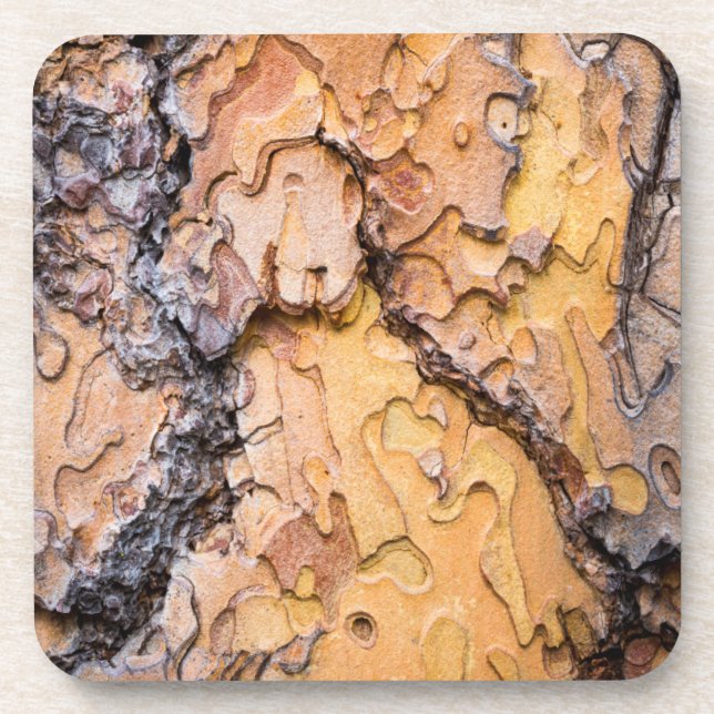 Ponderosa pine bark, Washington Beverage Coaster (Front)