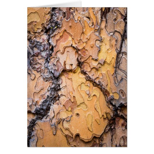 Ponderosa pine bark, Washington Cards (Front)