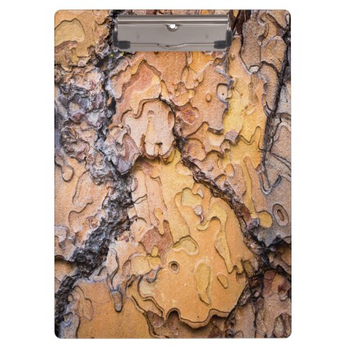 Ponderosa pine bark Washington Clipboard