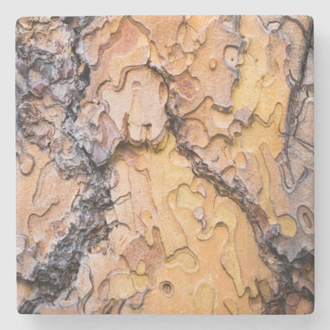 Ponderosa pine bark, Washington Stone Coaster (Front)