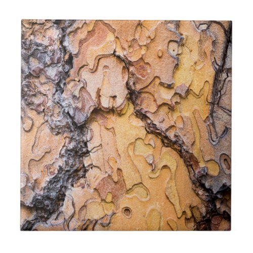 Ponderosa pine bark Washington Tile