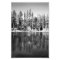 Ponderosa Pines Reflection Photo