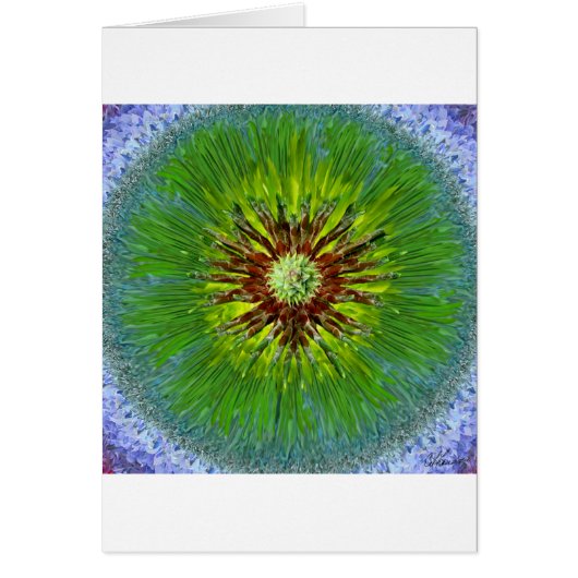 Ponderosa Sunburst Mandala Cards (Front)