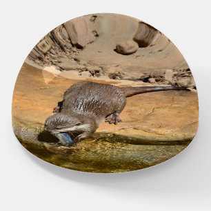 **"Pondside Feast: An Otter and His Catch"** Paperweight
