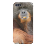 Pongo Ape iPhone Case