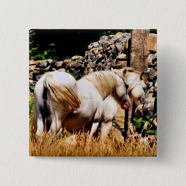 PONIES BUTTON (Front)