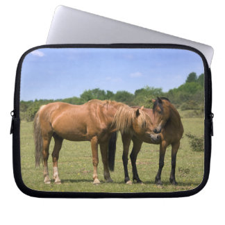 Ponies in Love Laptop Sleeve
