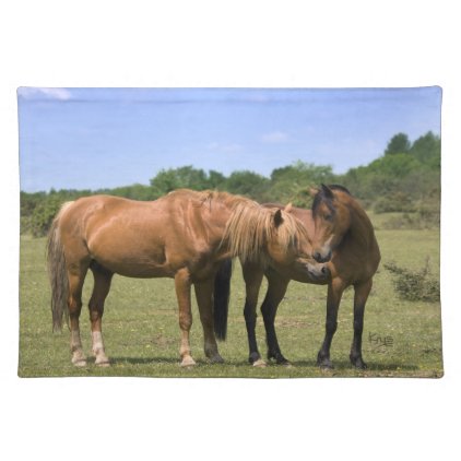 Ponies in Love Placemat