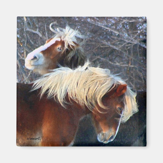 ponies magnet (Front)