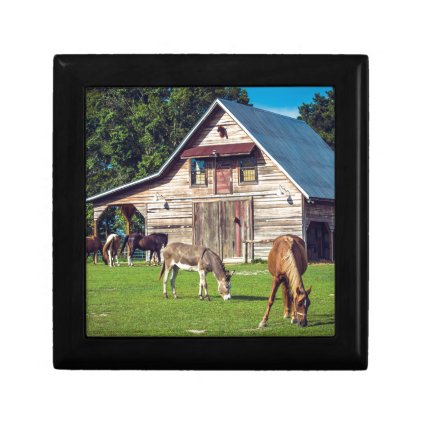 Ponies on the Farm Gift Box