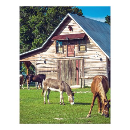 Ponies on the Farm Letterhead