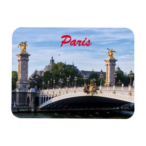 Pont Alexandre III on Seine River _ Paris France Magnet