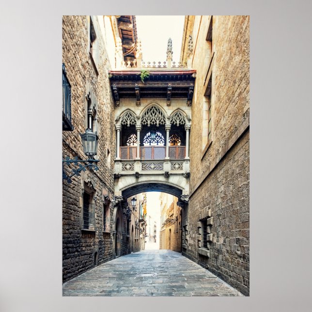 Pont del Bisbe Poster (Front)