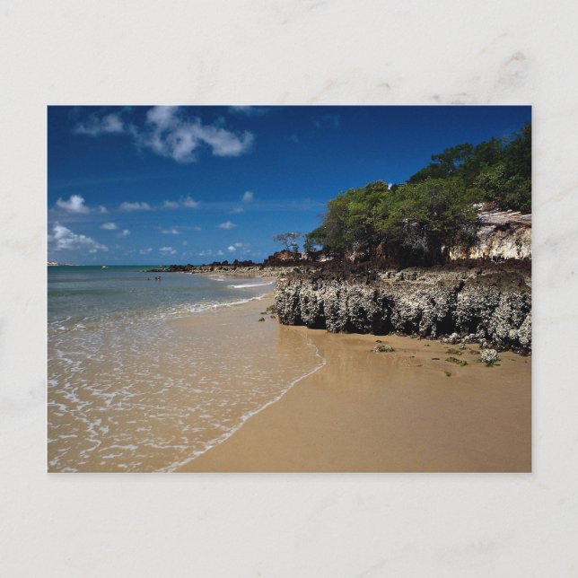 Ponta Negra Beach, Natal, Brazil Postcard (Front)