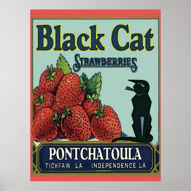 Pontchatoula Strawberries, Vintage Cat Poster (Front)