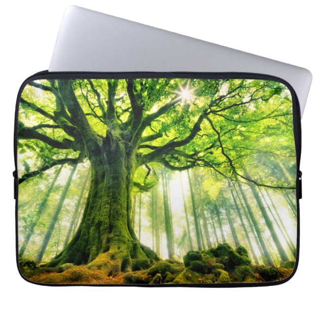 Ponthus' Beech Laptop Sleeve (Front)