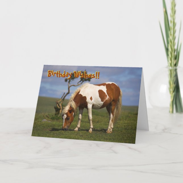 Pony And Lone Gorse birthday card (Front)
