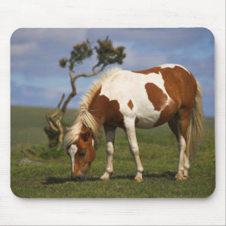 Pony And Lone Gorse mousepad