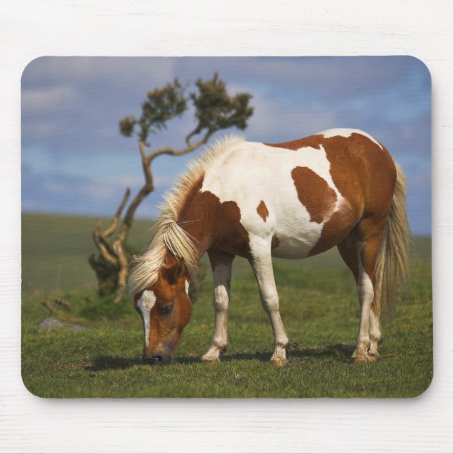 Pony And Lone Gorse mousepad (Front)
