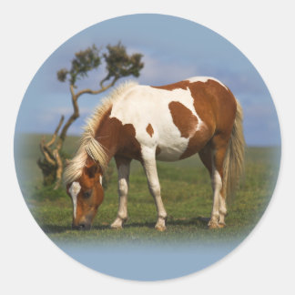 Pony And Lone Gorse stickers