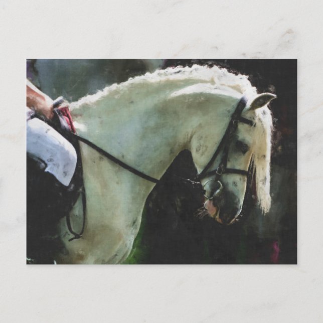 Pony at a show postcard (Front)