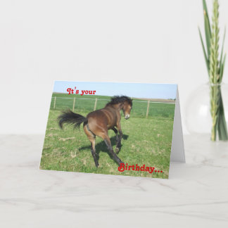 Pony Birthday Card