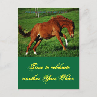 Pony Birthday Postcard