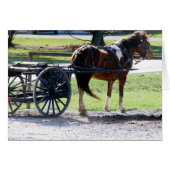 Pony Cart (Front Horizontal)
