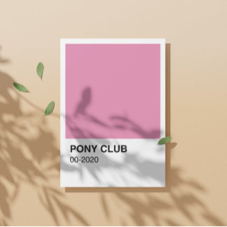 Pony Club Song Pink Color - White Border Poster