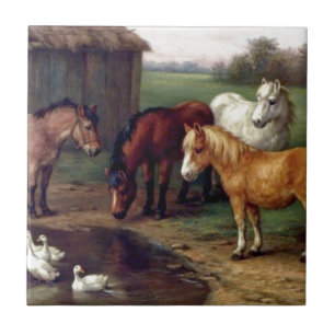 Pony donkey ducks farm ceramic tile