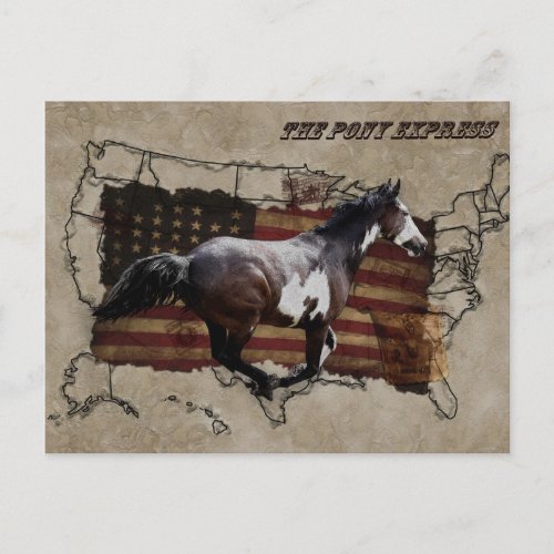 Pony Express Pinto Horse Delivering US Mail Postcard