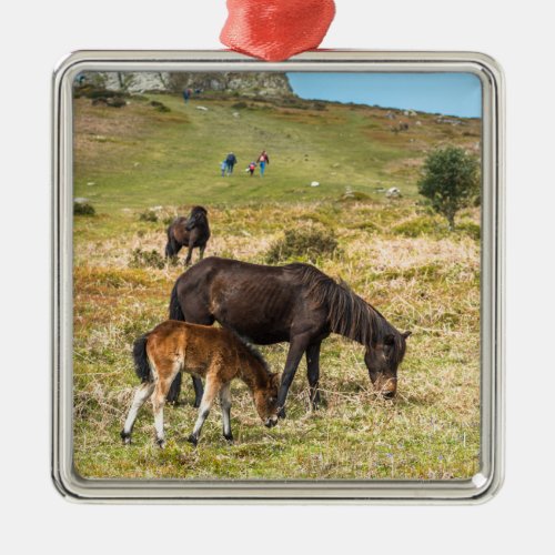 Pony Haytor rock in Dartmoor national park Devon Metal Ornament