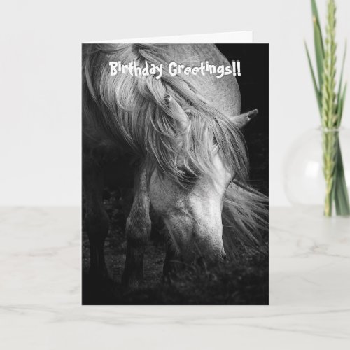 Pony Head and Mane birthday card