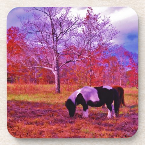PONY IN A RAINBOW  colored field Beverage Coaster