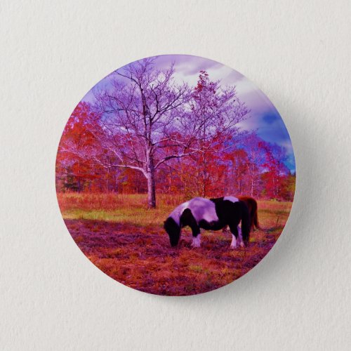 PONY IN A RAINBOW  colored field Button