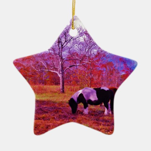 PONY IN A RAINBOW  colored field Ceramic Ornament