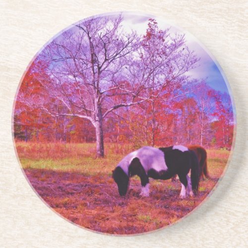 PONY IN A RAINBOW  colored field Coaster