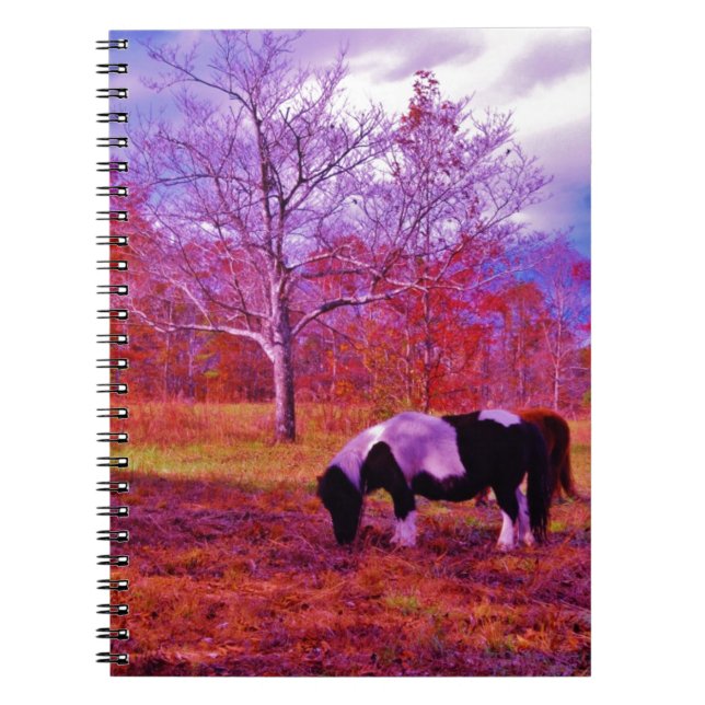 PONY IN A RAINBOW  colored field Notebook (Front)