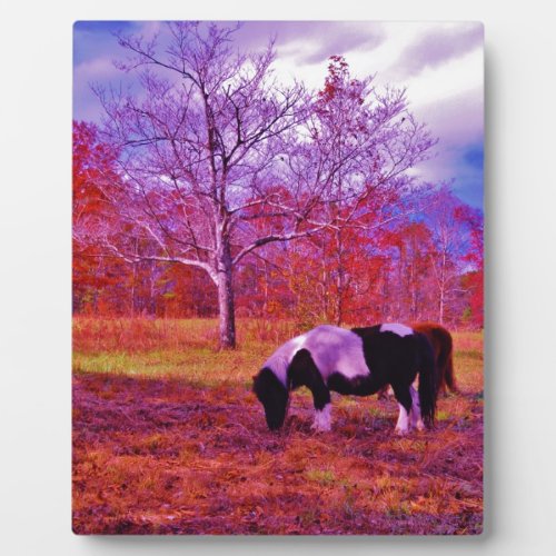 PONY IN A RAINBOW  colored field Plaque