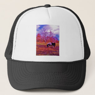 PONY IN A RAINBOW colored field Trucker Hat