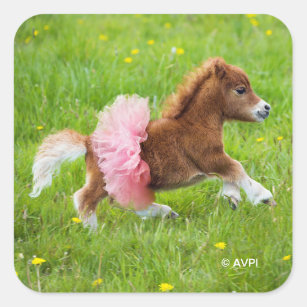 Custom decal sticker with your name and location Mini Horse or Pony 