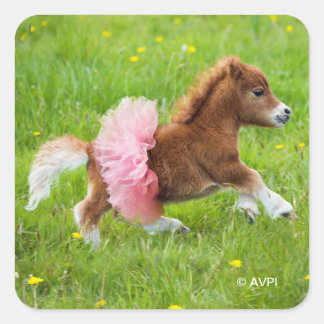 Pony in Tutu Square Sticker