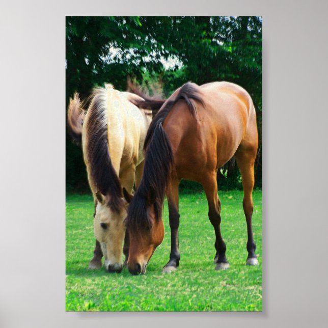 Pony Love Poster (Front)