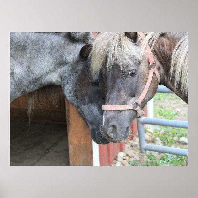 Pony Nuzzle Poster (Front)