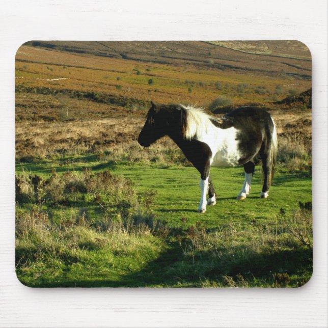 Pony on Dartmoor Mouse Pad (Front)