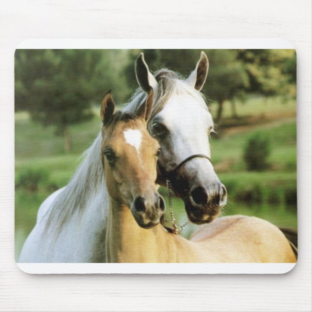 Pony Pad Mouse Pad (Front)