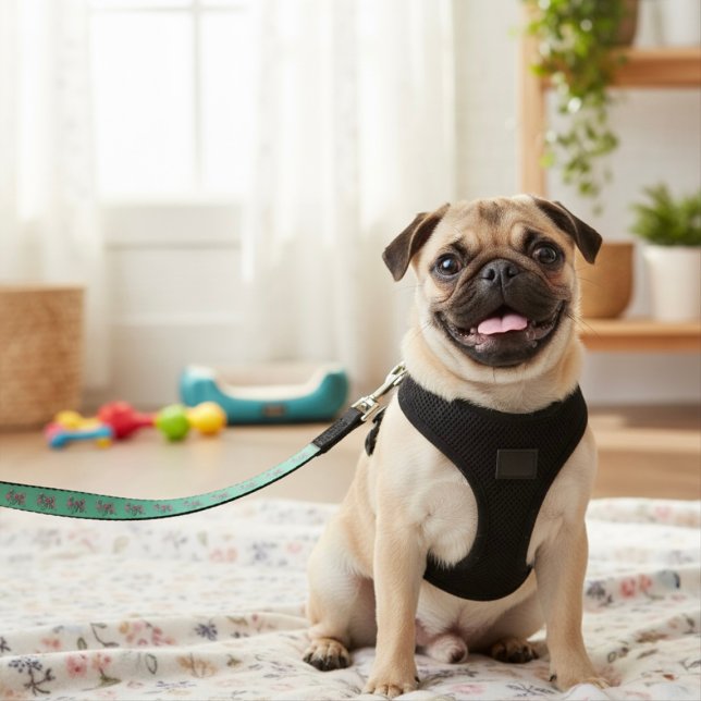 Pony Pet Leash (Creator Uploaded)