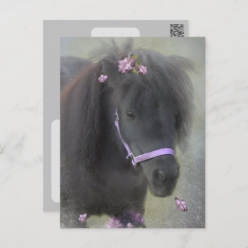 Pony _ Postcard