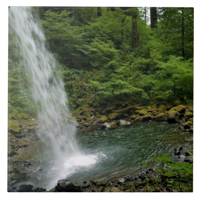 Ponytail Falls, OR Ceramic Tile (Front)