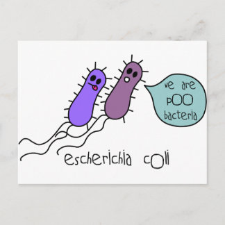 Poo Bacteria Postcard